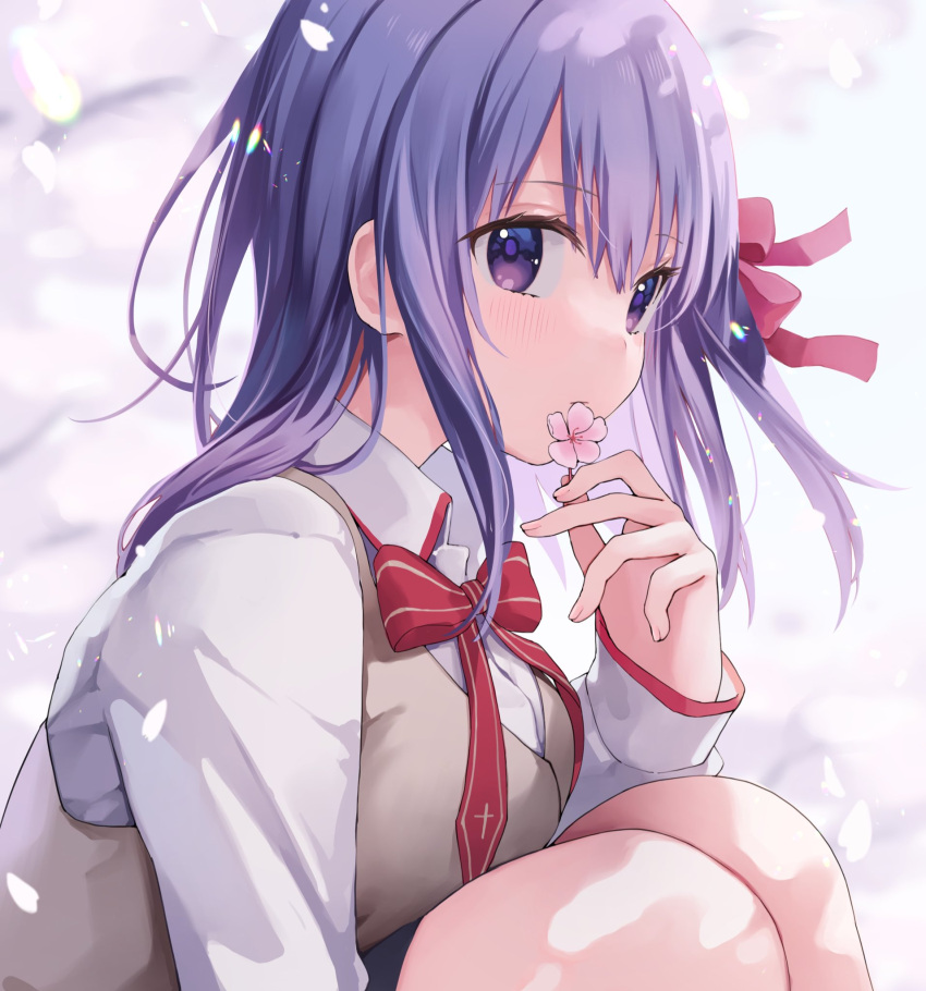 1girl bow bowtie brown_vest collared_shirt fate/stay_night fate_(series) flower from_side hair_ribbon hand_up highres holding holding_flower homurahara_academy_school_uniform kashuu_(pixiv_66328082) knees_up light_particles long_hair long_sleeves looking_at_viewer matou_sakura petals purple_hair red_bow red_bowtie red_ribbon ribbon school_uniform shirt solo vest violet_eyes white_shirt