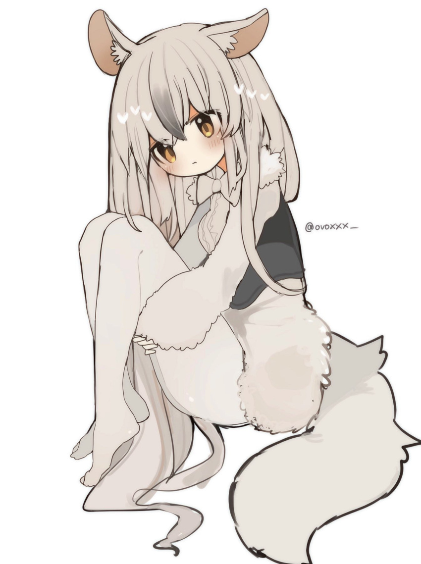 1girl alternate_hairstyle anteater_ears anteater_tail black_corset blush bow bowtie center_frills corset frills fur_collar highres hugging_own_legs kemono_friends kemono_friends_3 long_hair long_sleeves no_shoes ovoxxx pantyhose shirt solo southern_tamandua_(kemono_friends) white_bow white_bowtie white_fur white_hair white_pantyhose white_shirt yellow_eyes