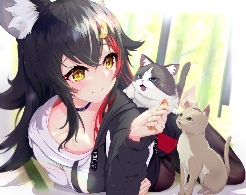 1girl absurdres animal animal_ear_fluff animal_ears barefoot black_collar black_hair black_pants black_sleeves blue_eyes breasts cat closed_mouth collar collarbone crossed_bangs curled_fingers dot_nose feet full_body green_eyes hair_between_eyes highres hihi_(oekakihix) hololive light_blush long_hair long_sleeves looking_at_another lying multicolored_hair on_stomach ookami_mio open_mouth pants redhead smile soles solo streaked_hair tail toes tongue tongue_out virtual_youtuber whiskers wolf_ears wolf_girl yellow_eyes