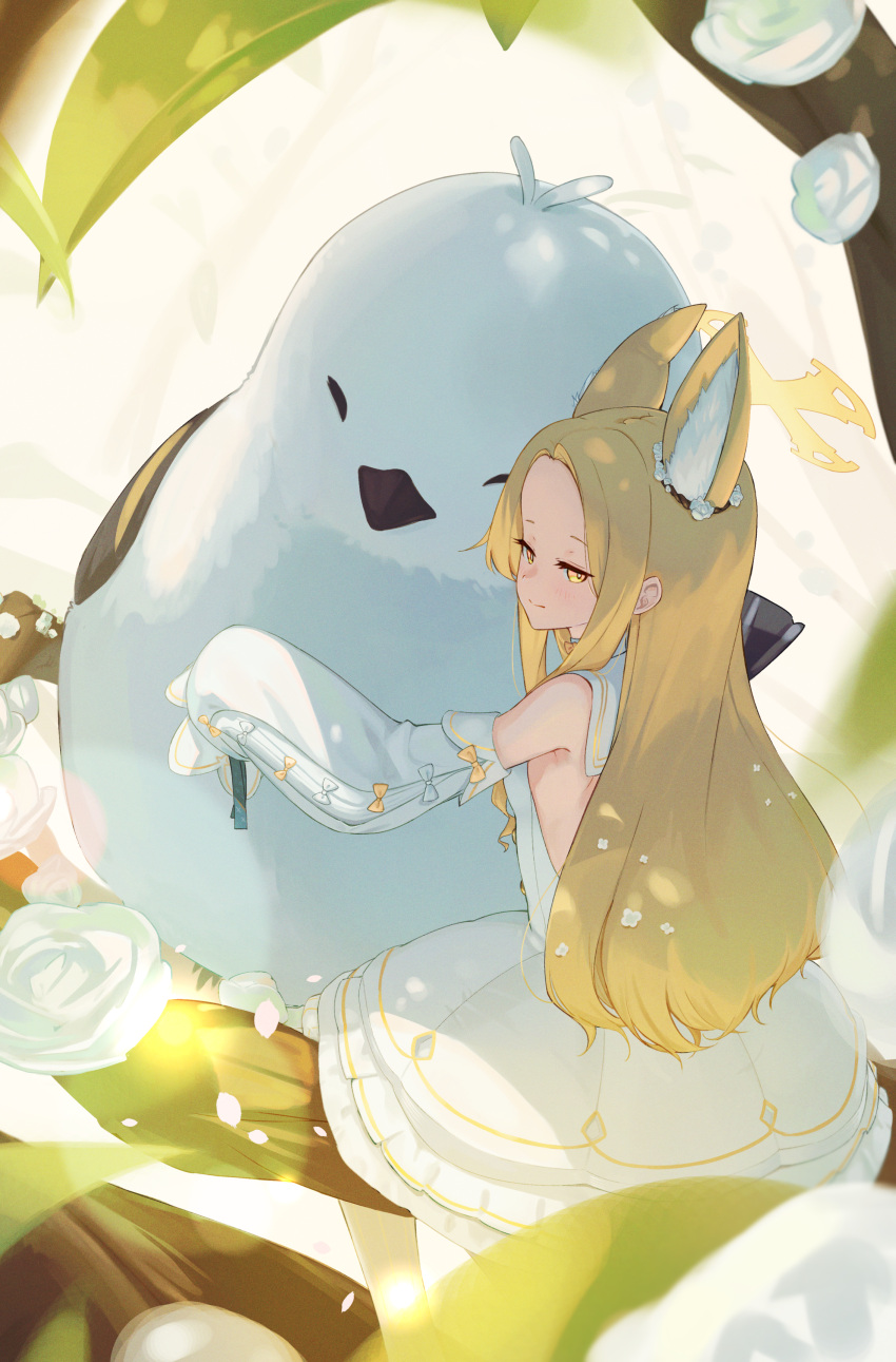 1girl absurdres animal_ears backless_dress backless_outfit bird blonde_hair blue_archive bright_pupils closed_mouth dappled_sunlight detached_sleeves dress forehead fox_ears fox_girl half-closed_eyes halo highres hug jitome long_hair long_sleeves looking_at_viewer minigirl narrowed_eyes parted_bangs sailor_collar seia_(blue_archive) sitting_on_branch sleeves_past_fingers sleeves_past_wrists smile solo sparrow sunlight uito_yzwa very_long_hair white_dress white_pupils white_sailor_collar yellow_eyes