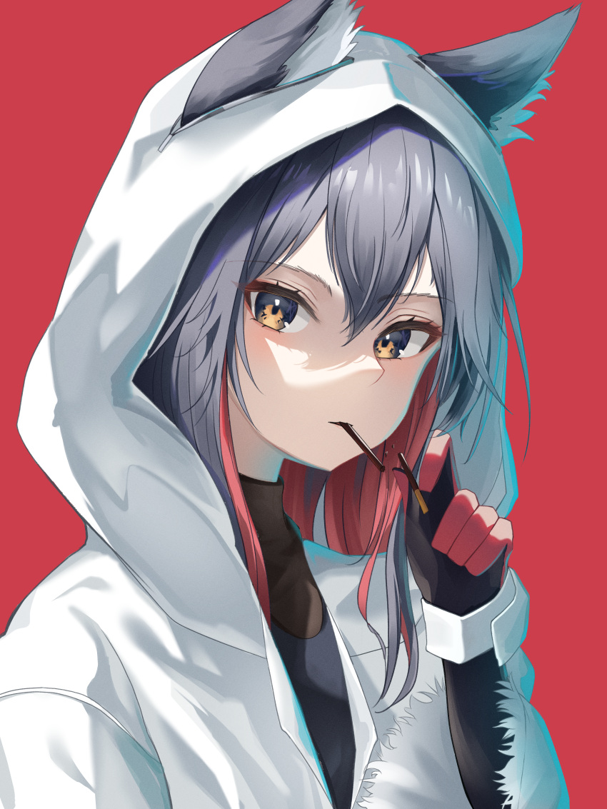 1girl absurdres animal_ear_fluff animal_ears arknights black_gloves black_hair blush colored_inner_hair commentary ears_through_headwear eating elbow_gloves english_commentary food fur-trimmed_sleeves fur_trim gloves hair_between_eyes high_collar highres holding holding_food holding_pocky hood hood_up hoodie lit_for_20 long_bangs long_hair long_sleeves looking_at_viewer multicolored_hair open_mouth orange_eyes pocky red_background red_gloves redhead shade sidelocks simple_background solo texas_(arknights) two-tone_gloves upper_body white_hoodie wolf_ears wolf_girl