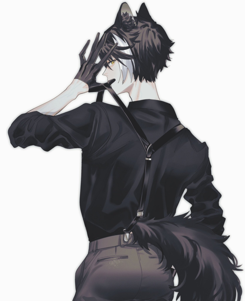 1boy animal_ears black_gloves black_hair black_shirt covered_mouth cowboy_shot from_behind gloves grey_pants hair_between_eyes half_gloves highres holostars jackal_boy jackal_ears jackal_tail kageyama_shien looking_at_viewer looking_back male_focus momiage_40 multicolored_hair pants shirt short_hair simple_background sleeves_rolled_up solo suspenders suspenders_pull tail two-tone_hair virtual_youtuber white_background white_hair yellow_eyes