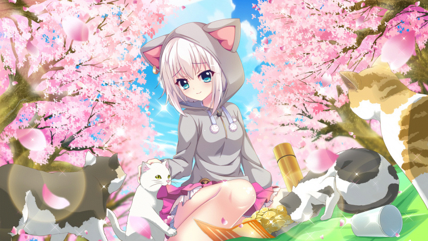 1girl animal_hood biting biting_clothes blanket blue_eyes blue_sky cat cat_hood cherry_blossoms chips_(food) clouds cup day dot_nose drinking_glass dutch_angle eating film_grain food from_below game_cg grey_hoodie hanami hood hoodie izumi_tsubasu lens_flare multiple_cats nishidate_haku non-web_source official_art on_ground outdoors petals petting picnic pink_skirt potato_chips re:stage! short_hair skirt skirt_grab sky smile snack solo sparkle thermos tree white_cat white_hair
