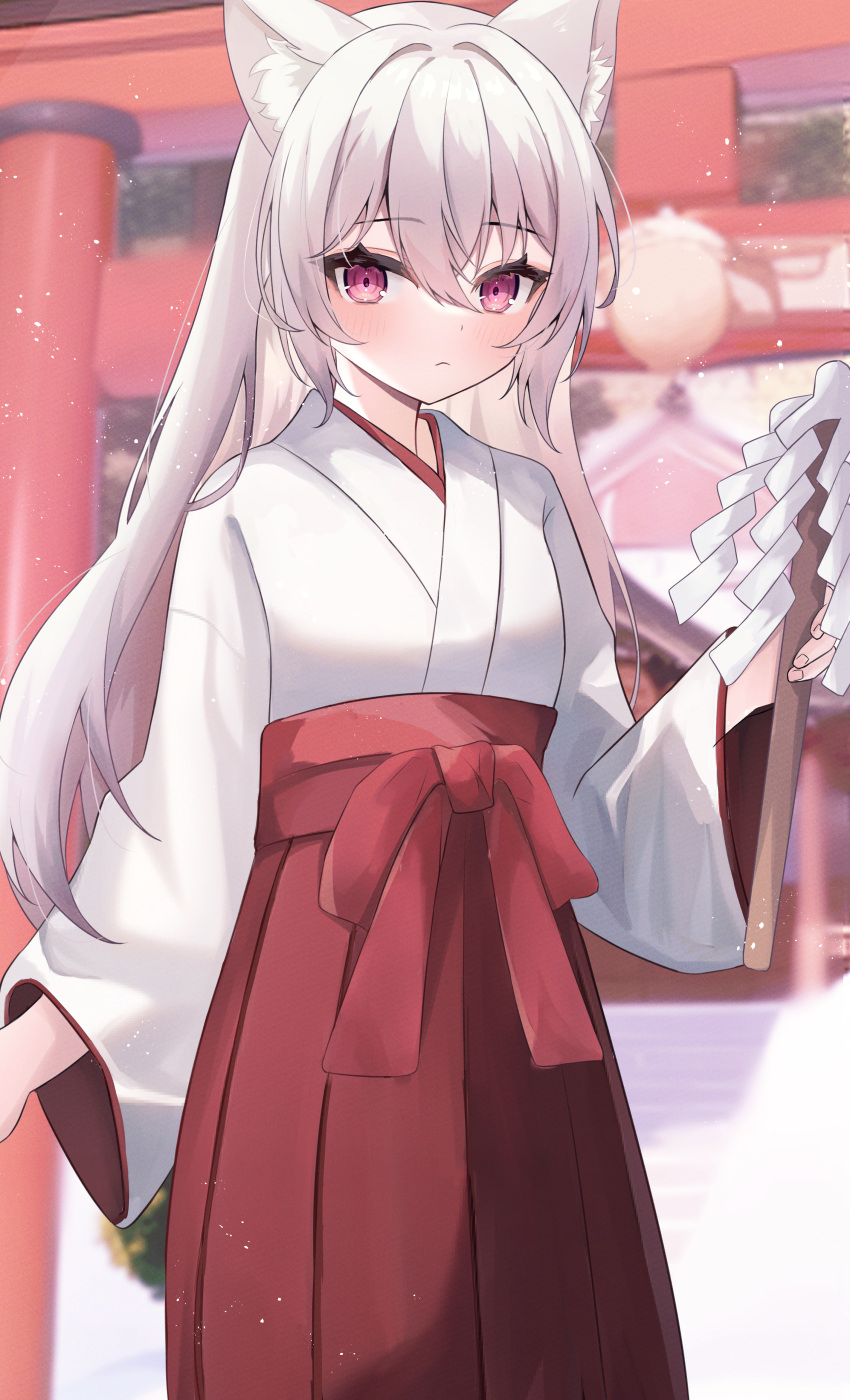1girl absurdres animal_ear_fluff animal_ears blurry blurry_background blush bow cat_ears closed_mouth commentary_request depth_of_field gohei grey_hair hair_between_eyes hakama hakama_skirt highres holding japanese_clothes kimono long_sleeves looking_at_viewer miko nail_polish original pink_nails red_bow red_hakama sirotuki_ito skirt solo torii violet_eyes white_kimono wide_sleeves