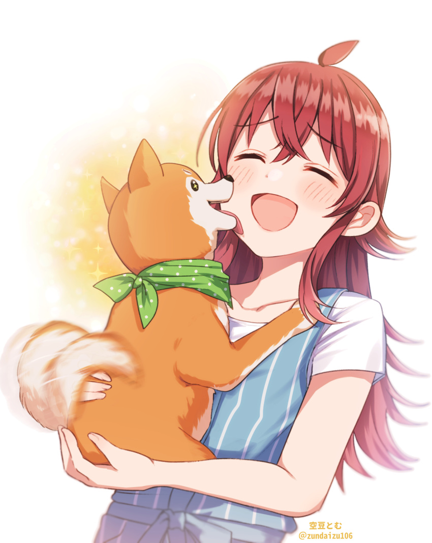 1girl :d ahoge animal artist_name blue_skirt blush bow breasts brown_dog collarbone dog dot_nose green_scarf hair_between_eyes highres holding holding_animal holding_dog idolmaster idolmaster_shiny_colors komiya_kaho licking long_hair mamemaru_(shiny_colors) open_mouth overall_skirt polka_dot polka_dot_scarf redhead scarf shiba_inu shirt short_sleeves simple_background skirt small_breasts smile soramame_tomu sparkle striped striped_skirt tail tail_wagging twitter_username waist_bow white_background white_shirt