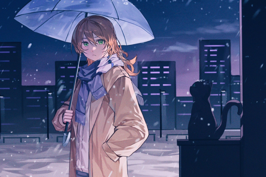 1girl :/ animal black_cat blue_scarf brown_coat building cat chinese_commentary city closed_mouth clouds coat commentary_request daiba_nana fringe_trim gezi_(gezi25889902) green_eyes hair_between_eyes hair_down hand_in_pocket hand_up highres holding holding_umbrella lamppost light_brown_hair long_hair long_sleeves looking_at_another looking_to_the_side night open_clothes open_coat outdoors scarf shirt shoujo_kageki_revue_starlight snow snowing solo standing tail_raised umbrella wavy_hair white_shirt winter
