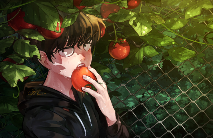 1boy aya_shiro423 black_eyes black_hair black_hoodie chain-link_fence dated day eating fence food highres holding holding_food hood hood_down hoodie kageyama_shigeo looking_at_viewer male_focus mob_psycho_100 open_mouth outdoors short_hair solo tomato wet
