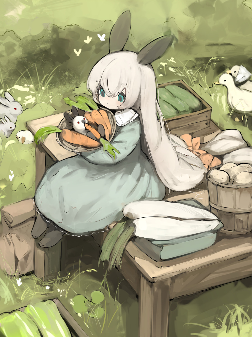 1girl animal animal_ears basket bird blue_eyes bow bucket carrot closed_mouth commentary_request cucumber daikon dress duck grass hair_between_eyes highres holding holding_basket lettuce long_hair looking_at_animal on_table orange_bow original outdoors potato rabbit rabbit_ears rabbit_girl radish shirokujira sitting solo table white_hair wooden_bucket wooden_table
