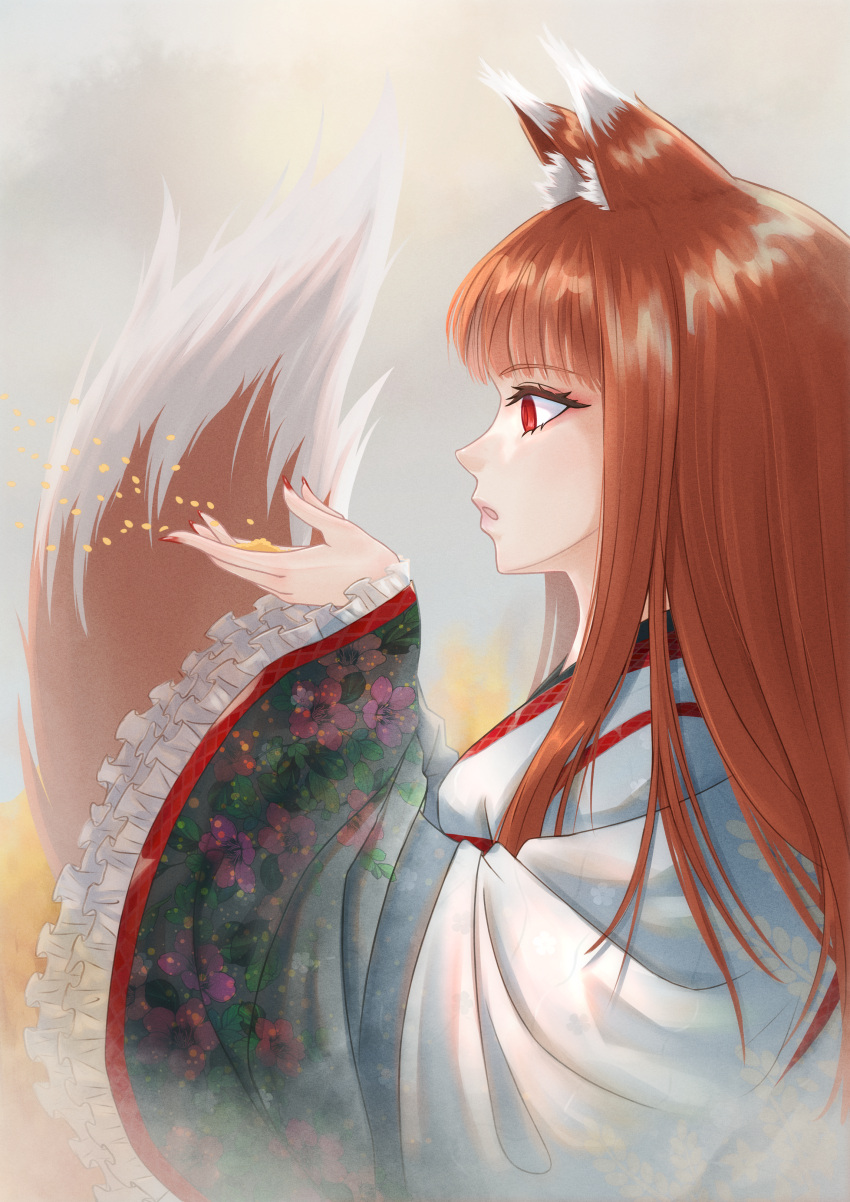1girl 2000s_(style) absurdres animal_ear_fluff animal_ears brown_hair dress highres holo japanese_clothes kimono red_eyes spice_and_wolf tail wheat_field