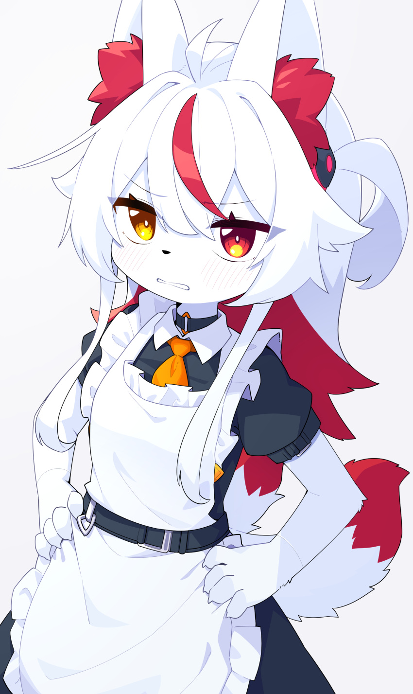 1girl absurdres animal_ears brown_eyes devil-vox furry furry_female hands_on_own_hips heterochromia highres maid multicolored_hair original red_eyes redhead short_sleeves solo tail white_hair