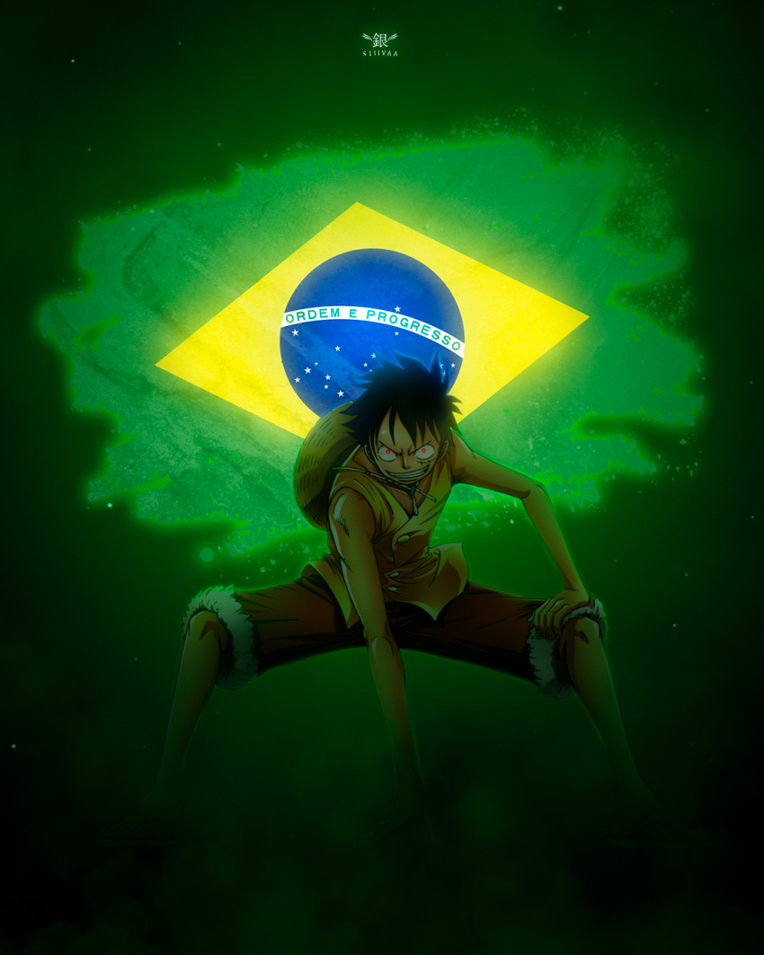 1boy artist_name black_hair brazil brazilian_flag full_body hat hat_removed headwear_removed highres looking_at_viewer male_focus monkey_d._luffy one_piece red_eyes s1llvaa short_hair signature smile solo straw_hat