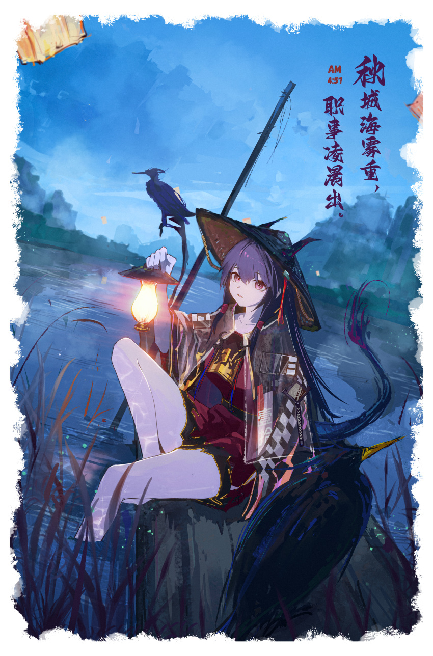 1girl absurdres animal arknights bird black_headwear black_jacket blue_hair ch'en_(arknights) ch'en_the_holungday_(arknights) ch'en_the_holungday_(ten_thousand_mountains)_(arknights) dragon_girl dragon_horns dragon_tail graffiti hat highres holding holding_lantern horns horns_through_headwear jacket knee_up lantern looking_at_viewer nian962464 night night_sky outdoors parted_lips red_eyes red_shirt red_shorts scenery shirt shorts sitting sky soaking_feet solo tail water