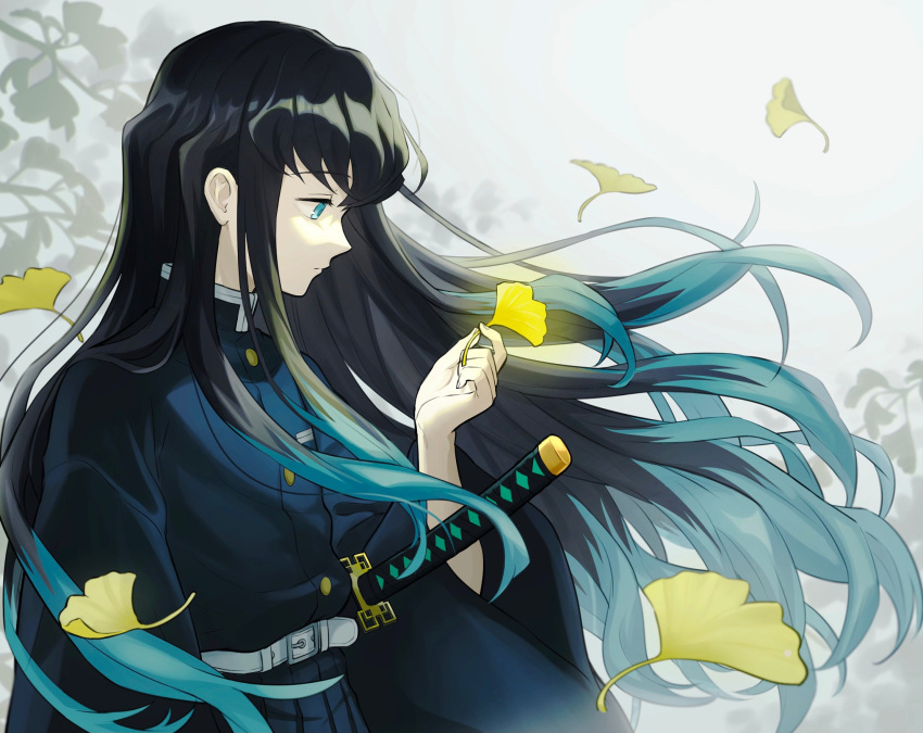 1boy androgynous aqua_eyes aqua_hair belt belt_buckle bishounen black_hair black_jacket buckle buttons closed_mouth commentary falling_leaves floating_hair from_side ginkgo_leaf high_collar highres holding holding_leaf jacket katana kimetsu_no_yaiba leaf long_hair long_sleeves looking_at_object male_focus mugimora_(tnmn7375) multicolored_hair outdoors profile sheath sheathed solo sword tokitou_muichirou two-tone_hair upper_body weapon white_background white_belt wide_sleeves