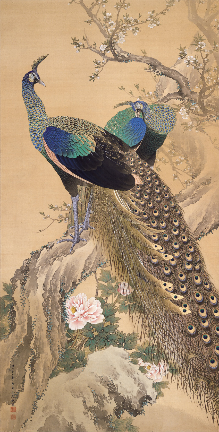 absurdres animal_focus bird brown_background fine_art flower highres imao_keinen looking_at_viewer nihonga no_humans on_tree original peacock simple_background standing_on_branch traditional_media tree ukiyo-e white_flower