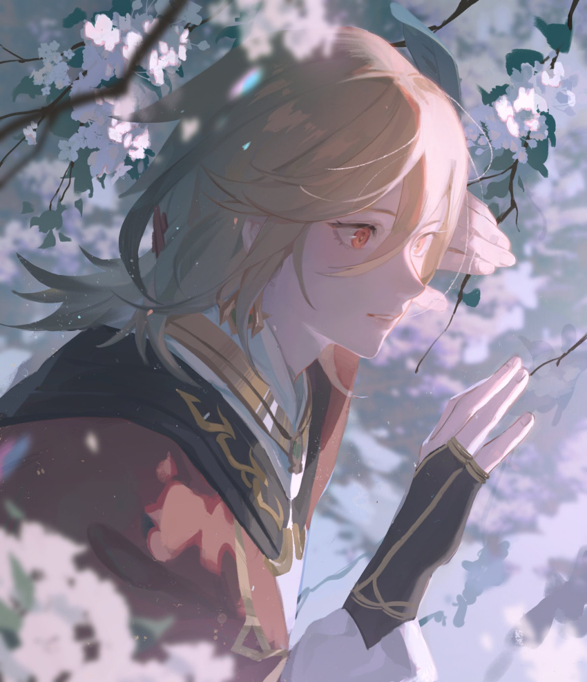 1boy black_gloves blonde_hair blurry blurry_background blurry_foreground branch cape cherry_blossoms earrings fingerless_gloves fingernails flower genshin_impact gloves gold_trim hair_between_eyes hair_ornament hands_up highres jewelry kaveh_(genshin_impact) leaf lips long_sleeves looking_to_the_side male_focus og7ev0q1rgmigyi outdoors pink_flower puffy_long_sleeves puffy_sleeves red_cape red_eyes ring shirt short_hair solo teeth white_shirt x_hair_ornament