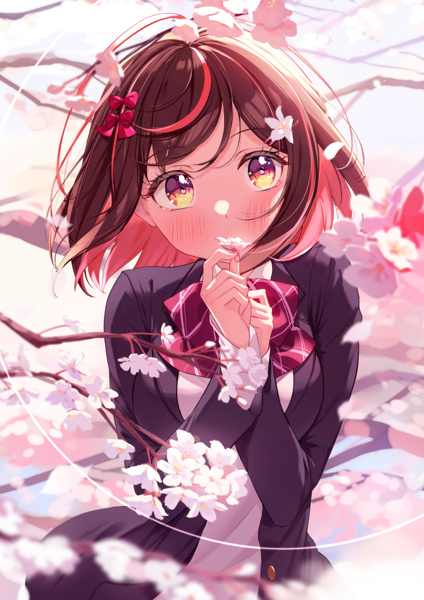 1girl black_jacket blush bow bowtie breasts brown_eyes brown_hair buttons cherry_blossoms fingernails hair_ornament hairclip highres jacket large_breasts long_sleeves looking_at_viewer multicolored_hair open_clothes open_jacket original pink_hair red_bow red_bowtie saboten_mushi school_uniform short_hair solo upper_body