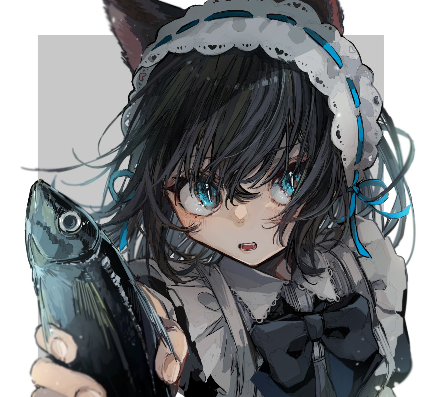 1girl animal animal_ears arm_behind_back black_bow black_dress black_hair blue_eyes blue_ribbon blush border bow bowtie cat_ears cat_girl collared_shirt dress eyelashes facing_viewer fang fingernails fish floating food frilled_dress frills giving grey_background hair_between_eyes highres holding holding_animal holding_fish holding_food lace-trimmed_headwear lace_trim long_sleeves looking_away looking_to_the_side maid maid_headdress open_mouth original outstretched_arm presenting ribbon sayonaka_megumo shirt solo tareme teeth upper_body white_border white_wrist_cuffs