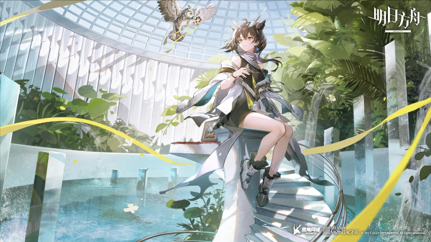 1girl ahoge arknights bai_qi-qsr bare_legs bare_shoulders bird black_dress brown_hair chinese_commentary commentary_request copyright_name crossed_bangs dress full_body highres indoors jacket long_hair official_art owl owl_ears owl_girl scarf silence_(arknights) silence_the_paradigmatic_(arknights) sitting sleeveless sleeveless_dress solo white_footwear white_jacket white_scarf wide_shot