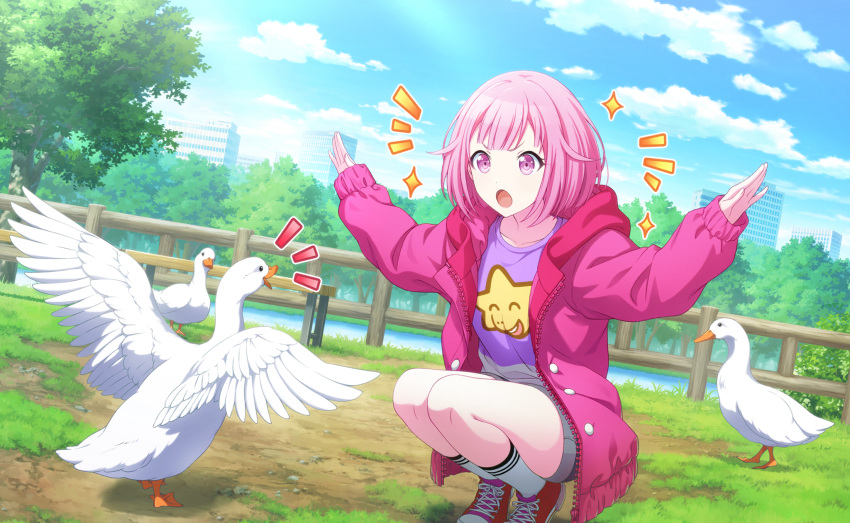 1girl animal city cityscape cloud day duck goose grass jacket official_art ootori_emu open_mouth pink_eyes pink_hair pink_hoodie pink_jacket project_sekai short_hair solo sunlight tree water