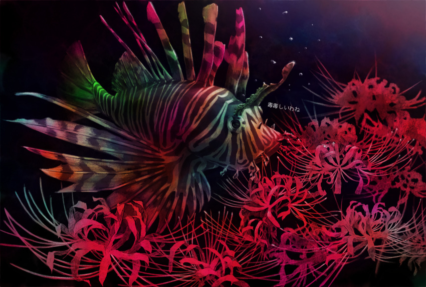 absurdres animal_focus black_background bubble fish fish_request flower highres lionfish original red_flower spider_lily tainosuke translation_request