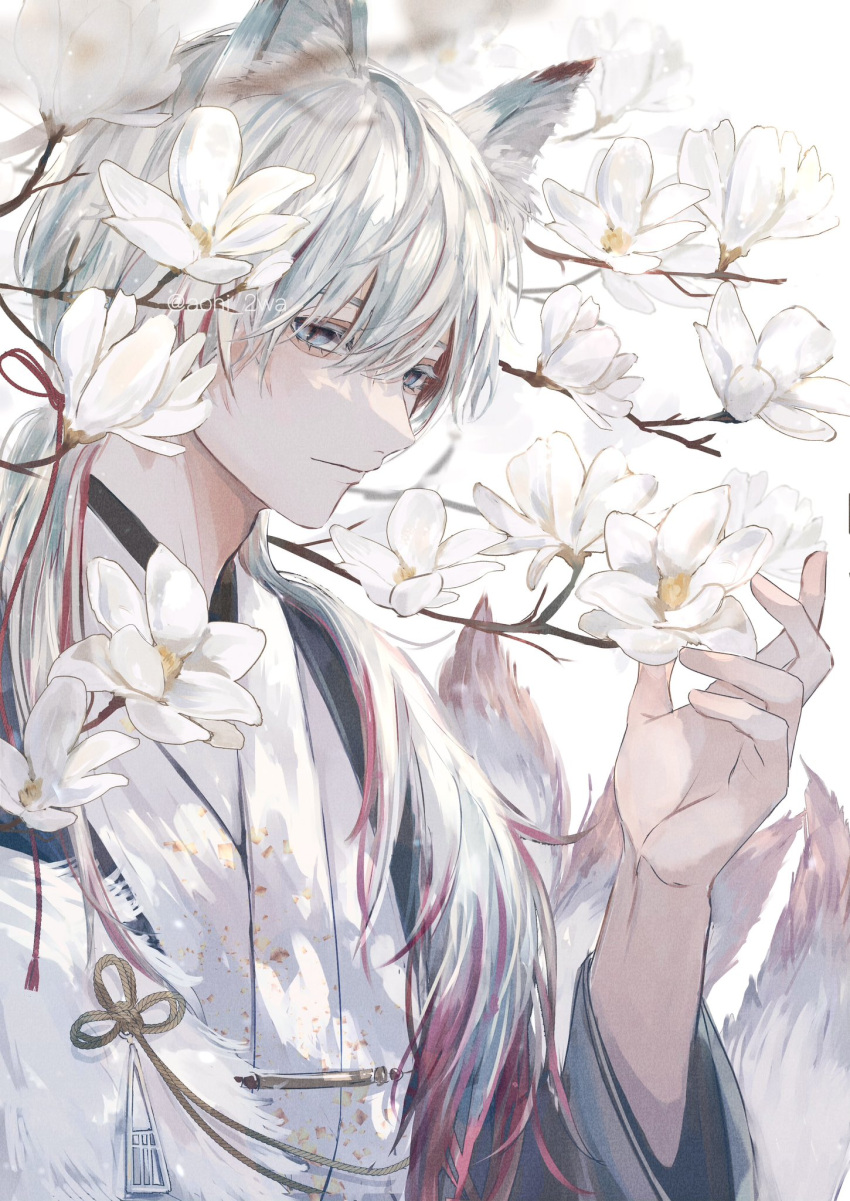 1boy animal_ears aohi_2wa black_jacket blue_eyes blurry branch closed_mouth colored_eyelashes depth_of_field expressionless feather_boa flower fox_boy fox_ears fox_tail hair_between_eyes hair_over_shoulder hair_ribbon haori highres jacket japanese_clothes kimono long_hair magnolia male_focus multicolored_hair multiple_tails original red_ribbon redhead ribbon simple_background solo streaked_hair tail tress_ribbon upper_body white_background white_flower white_hair white_kimono