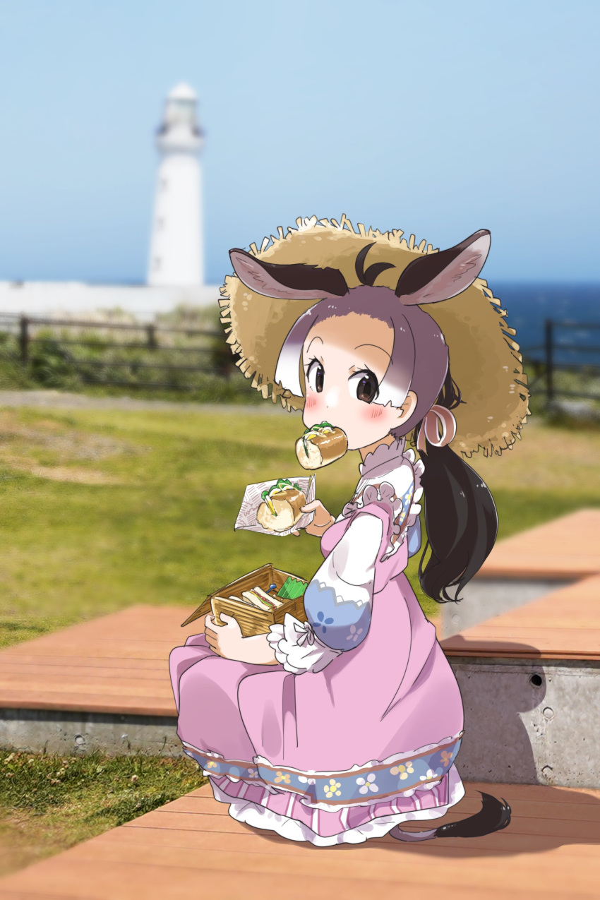 1girl absurdres alternate_costume black_hair blue_dress blush bow brown_eyes collar donkey_(kemono_friends) donkey_ears donkey_girl donkey_tail dress eating food food_in_mouth frilled_collar frilled_sleeves frills grey_hair hair_bow hat highres iwa_(iwafish) kemono_friends long_dress long_sleeves multicolored_hair pink_dress ponytail puffy_sleeves sandwich short_hair sidelocks sitting solo sun_hat white_dress white_hair