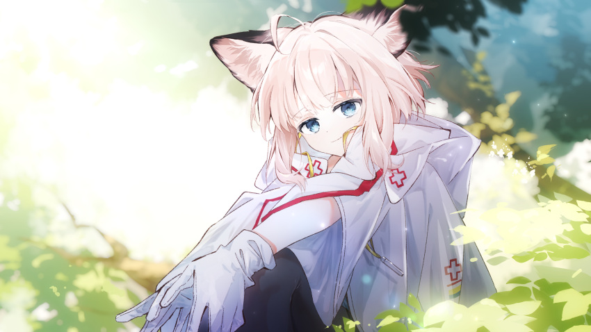 1girl absurdres ahoge animal_ear_fluff animal_ears arknights blue_eyes closed_mouth coat commentary_request commission cross fox_ears fox_girl gloves highres hood hood_down hooded_coat knees_up looking_at_viewer nature omiya_(omy_0x) outdoors partial_commentary pink_hair red_cross short_hair sitting skeb_commission solo sussurro_(arknights) white_coat white_gloves