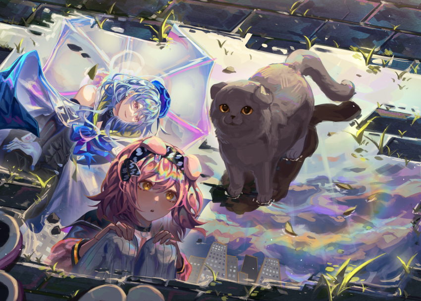 1boy 1girl animal_ears arknights bare_shoulders black_hairband blue_bow blue_hair blue_headwear blush bow cat cat_ears closed_mouth day gloves goldenglow_(arknights) grey_cat hairband highres holding holding_umbrella kikan_(kikanoe) lightning_bolt_print long_hair long_sleeves mizuki_(arknights) outdoors parted_lips pink_hair puddle red_eyes reflection scottish_fold smile squatting thigh-highs transparent transparent_umbrella umbrella water weeds white_gloves white_thighhighs yellow_eyes