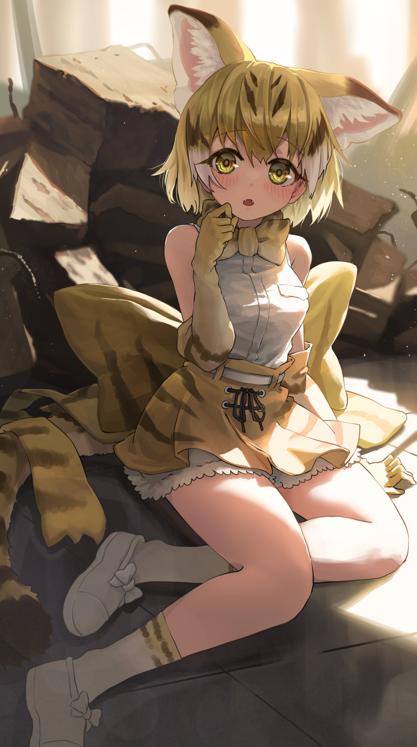 1girl animal_ears animal_print back_bow bare_shoulders blonde_hair blush bow bowtie cat_ears cat_girl cat_print cat_tail elbow_gloves extra_ears frilled_skirt frills gloves high-waist_skirt highres kemono_friends looking_at_viewer melaton multicolored_hair print_bow print_bowtie print_gloves print_legwear print_skirt sand_cat_(kemono_friends) shirt shoes short_hair sitting skirt sleeveless sneakers socks solo tail white_footwear white_shirt yellow_eyes