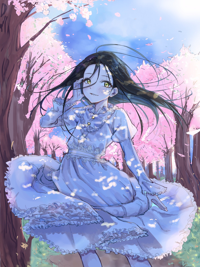 1girl black_hair blush cherry_blossoms dress feet_out_of_frame floating_hair highres kamisaki_hikaru long_hair long_sleeves looking_at_viewer medalist_(manga) moc_0625 outdoors parted_lips petals smile solo tree white_dress yellow_eyes