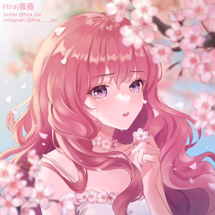 1girl absurdres artist_name cherry_blossoms crying dress falling_petals highres hira_qw instagram_username original petals pink_hair solo streaming_tears tears twitter_username white_dress