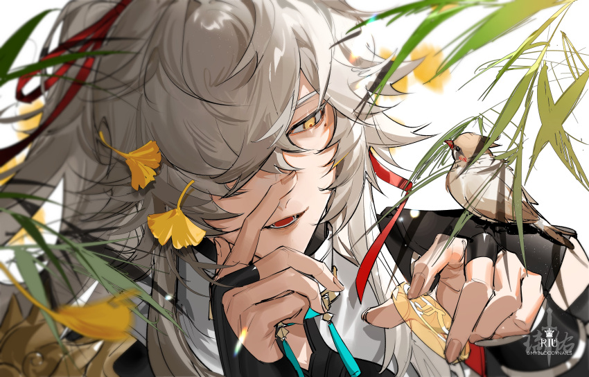 1boy absurdres armor artist_name bird bird_on_hand branch bridal_gauntlets chinese_clothes commentary crossed_bangs english_commentary ginkgo_leaf grey_hair hair_over_one_eye hair_ribbon hands_up high_ponytail highres honkai:_star_rail honkai_(series) jing_yuan leaf long_hair male_focus mole mole_under_eye mybloodynails one_eye_covered open_mouth parted_bangs plant ponytail red_ribbon ribbon shoulder_armor sidelocks smile solo swept_bangs tassel teeth upper_body watermark white_background yellow_eyes