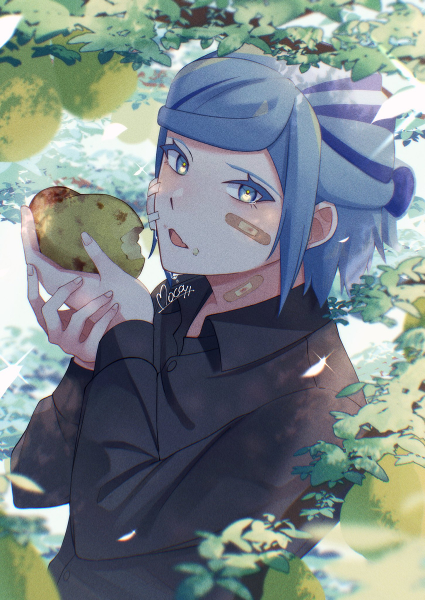 1boy alternate_costume bandaid bandaid_on_face bitten black_shirt blue_eyes blue_hair colored_eyelashes commentary_request day eyelashes food food_on_face from_side fruit grusha_(pokemon) hands_up highres holding holding_food holding_fruit long_sleeves looking_to_the_side male_focus mocacoffee_1001 open_mouth outdoors pear pokemon pokemon_(game) pokemon_sv shirt signature solo sparkle upper_body