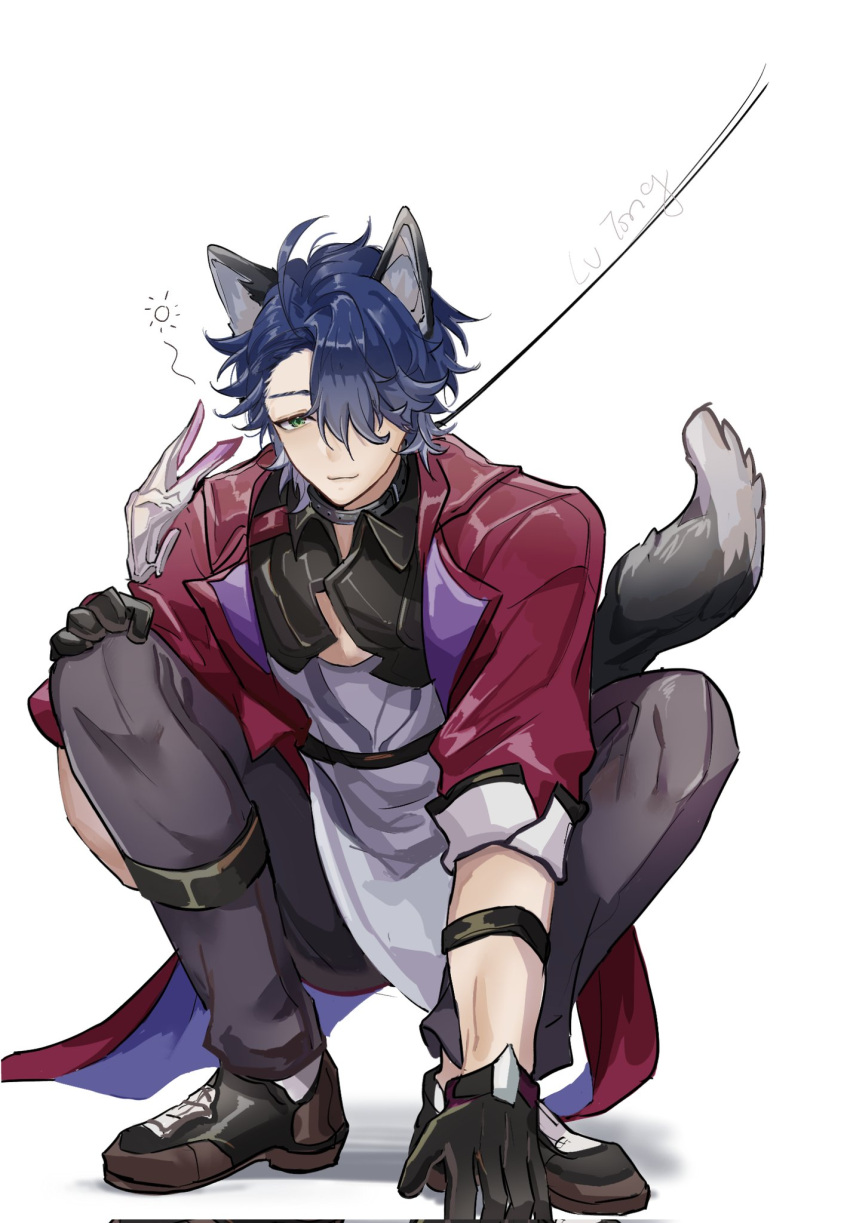 1boy animal_ears belt black_footwear black_gloves blue_hair closed_mouth collar full_body gloves green_eyes grey_hair hair_over_one_eye highres honkai:_star_rail honkai_(series) jacket looking_at_viewer lumimimi3 male_focus multicolored_hair one_eye_covered red_jacket sampo_koski shirt shoes short_hair smile solo squatting tail white_background white_shirt wolf_boy wolf_ears wolf_tail