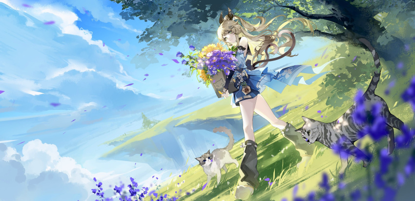 1girl :3 absurdres animal_ear_fluff animal_ears animal_hands bell black_socks blue_ribbon blue_skirt blue_sky blue_sleeves blurry blurry_foreground blush box bridal_gauntlets brown_hair bush cardboard_box carrying cat cat_ears cat_girl cat_tail cliff closed_mouth clouds cloudy_sky commentary_request day depth_of_field detached_sleeves dutch_angle ema eyelashes floating_hair flower genshin_impact green_eyes hair_between_eyes hair_ornament hairclip highres holding holding_box japanese_clothes jingle_bell kirara_(genshin_impact) long_hair looking_at_viewer looking_to_the_side loose_socks multiple_tails outdoors petals plant pleated_skirt ponytail purple_flower purple_rose ribbon rose sakuramon short_sleeves sidelocks skirt sky smile socks solo tail tree walking yellow_flower yu_jiu