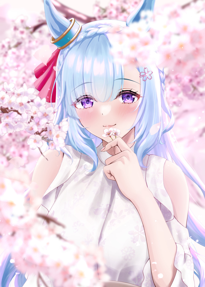 1girl absurdres animal_ears blue_hair blush braid cherry_blossoms closed_mouth clothing_cutout commentary crown_braid ear_ornament ear_ribbon flower hand_up highres holding holding_flower horse_ears horse_girl long_hair looking_at_viewer mejiro_ardan_(umamusume) outdoors shoulder_cutout solo symbol-only_commentary taku_(312nismo1) umamusume upper_body violet_eyes