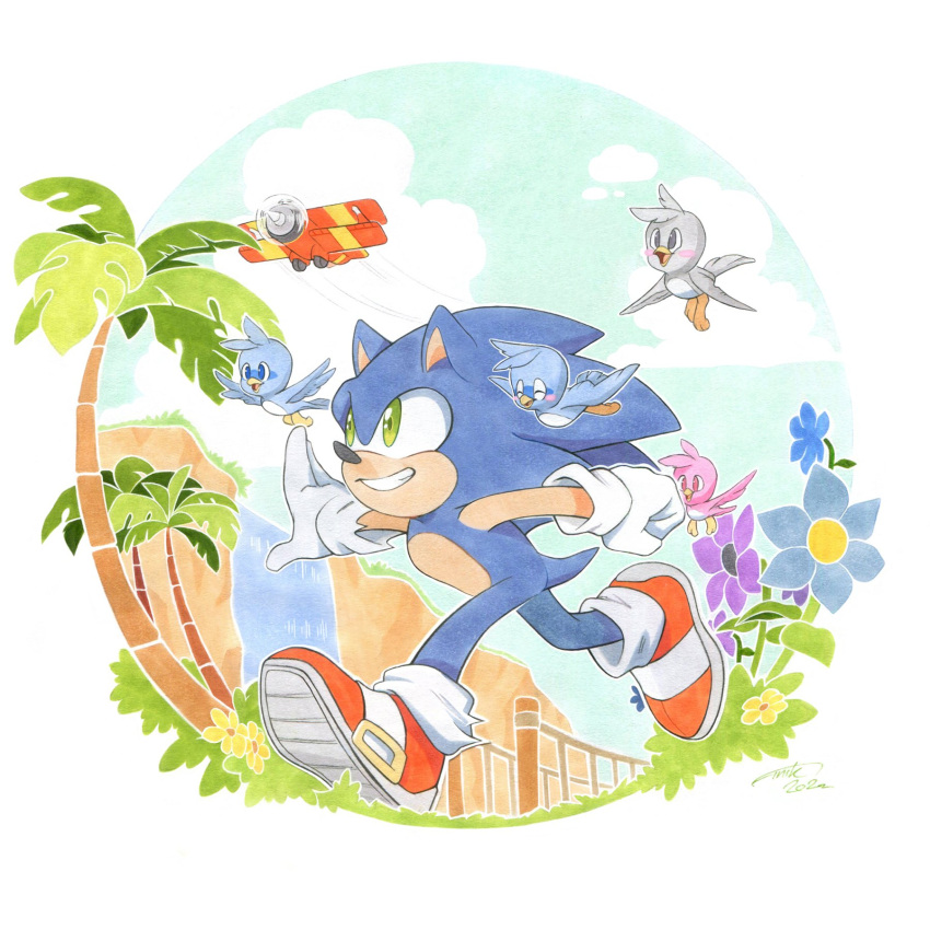 1boy aircraft airplane bird blue_flower clouds dated finik flower furry furry_male gloves grass highres outdoors palm_tree purple_flower running shoes signature solo sonic_(series) sonic_the_hedgehog tree white_gloves