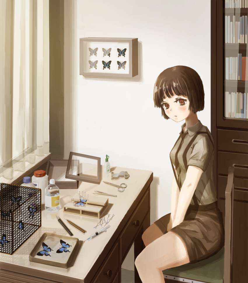 1girl absurdres blue_butterfly blush bottle brown_eyes brown_hair brown_necktie brown_shirt brown_shorts bug butterfly cage expressionless highres indoors looking_at_viewer necktie nibouto original shadow shirt shirt_tucked_in short_hair short_sleeves shorts solo suspenders wide_shot window