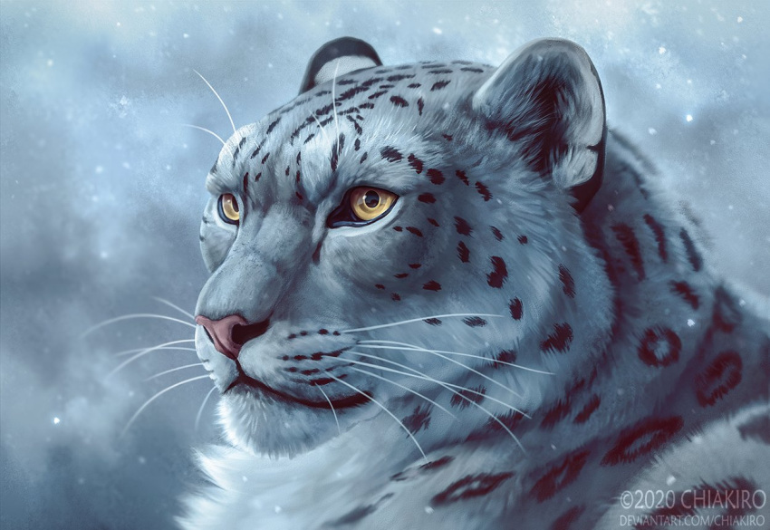 animal_focus artist_name blurry blurry_background chiakiroart dated depth_of_field deviantart_username looking_to_the_side no_humans original portrait snow_leopard solo watermark web_address