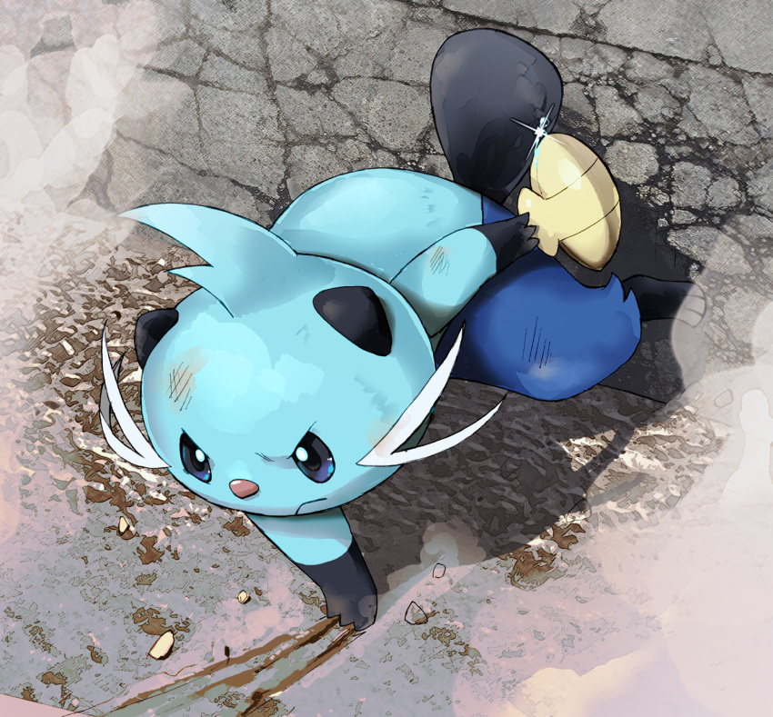 blue_eyes blue_fur clam_shell claw_mark creature dewott frown highres hijirino_yuuta holding holding_shell no_humans pebble pokemon pokemon_(creature) shell solo sparkle whiskers