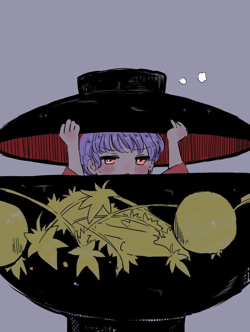 1girl absurdres black_headwear blush bowl bowl_hat commentary_request flying_sweatdrops grey_background hands_on_headwear hat highres long_sleeves looking_at_viewer purple_hair red_eyes rin_tarou short_hair simple_background solo sukuna_shinmyoumaru touhou