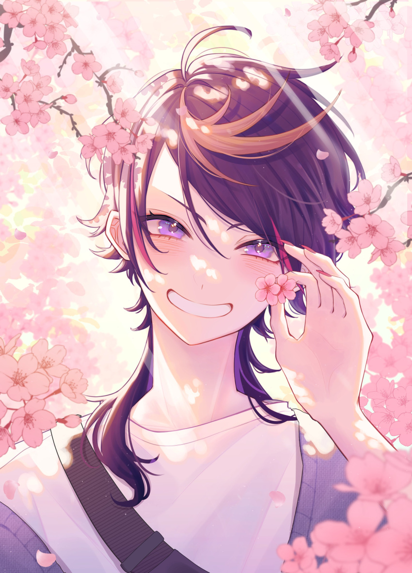 1boy absurdres ahoge black_hair blonde_hair blurry blurry_background blurry_foreground blush branch cardigan cherry_blossoms commentary english_commentary eyelashes falling_petals fingernails flower grin hair_between_eyes hand_up highres holding holding_flower light_particles light_rays long_fingernails long_hair looking_at_viewer male_focus mochigome_(yum) multicolored_hair nail_polish nijisanji nijisanji_en off_shoulder open_cardigan open_clothes parted_bangs petals pink_flower pink_hair purple_cardigan purple_hair red_nails shirt shu_yamino sidelocks smile solo streaked_hair swept_bangs teeth upper_body v-shaped_eyebrows violet_eyes virtual_youtuber white_shirt