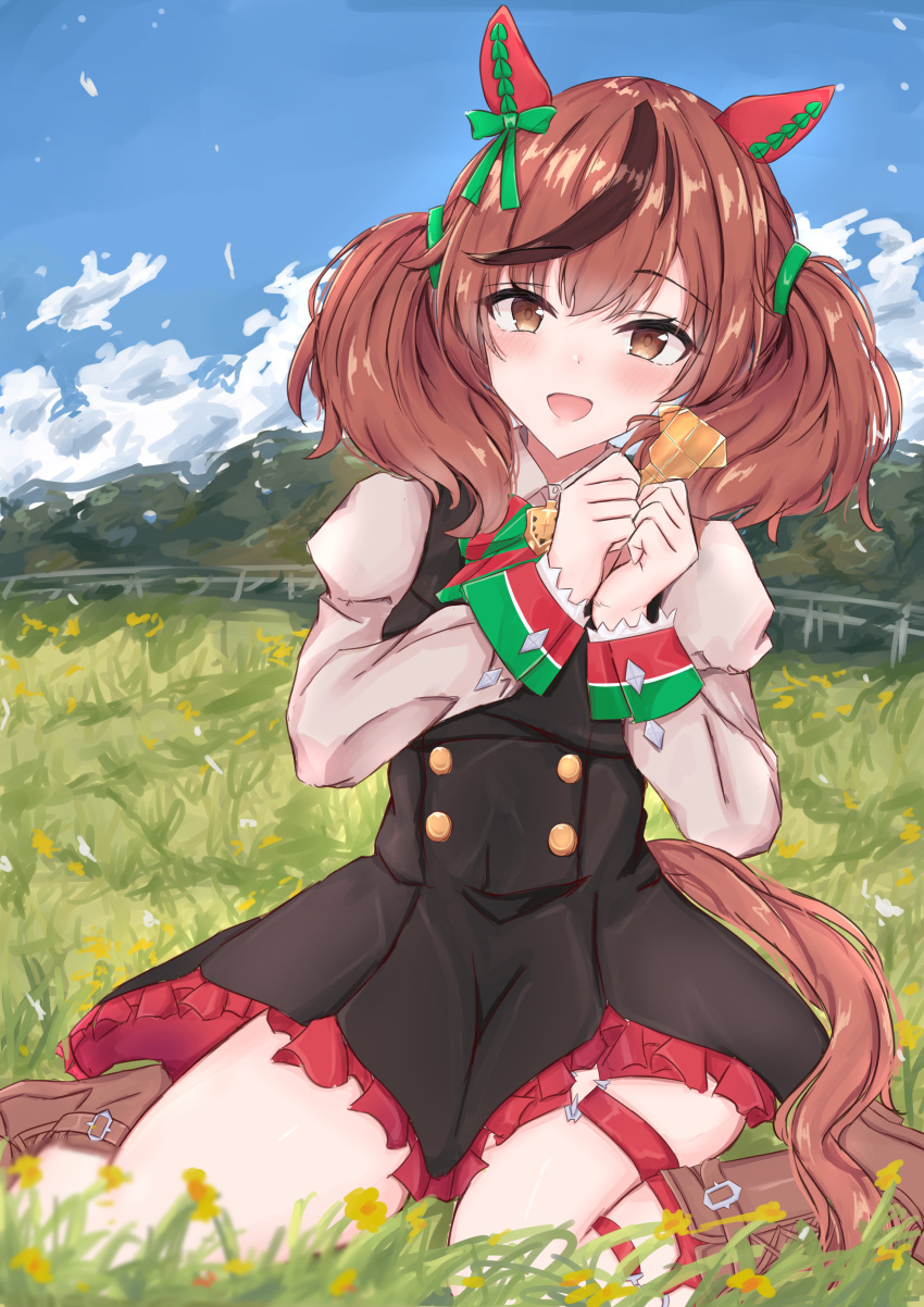 1girl absurdres animal_ears black_dress blue_sky boots bow brown_eyes brown_footwear brown_hair buttons cdsola clouds cloudy_sky double-breasted dress ear_covers grass highres horse_ears horse_girl juliet_sleeves long_sleeves looking_at_viewer medium_hair multicolored_hair nice_nature_(umamusume) on_ground open_mouth outdoors puffy_sleeves redhead sitting sky smile solo streaked_hair striped striped_bow thigh_strap umamusume wariza