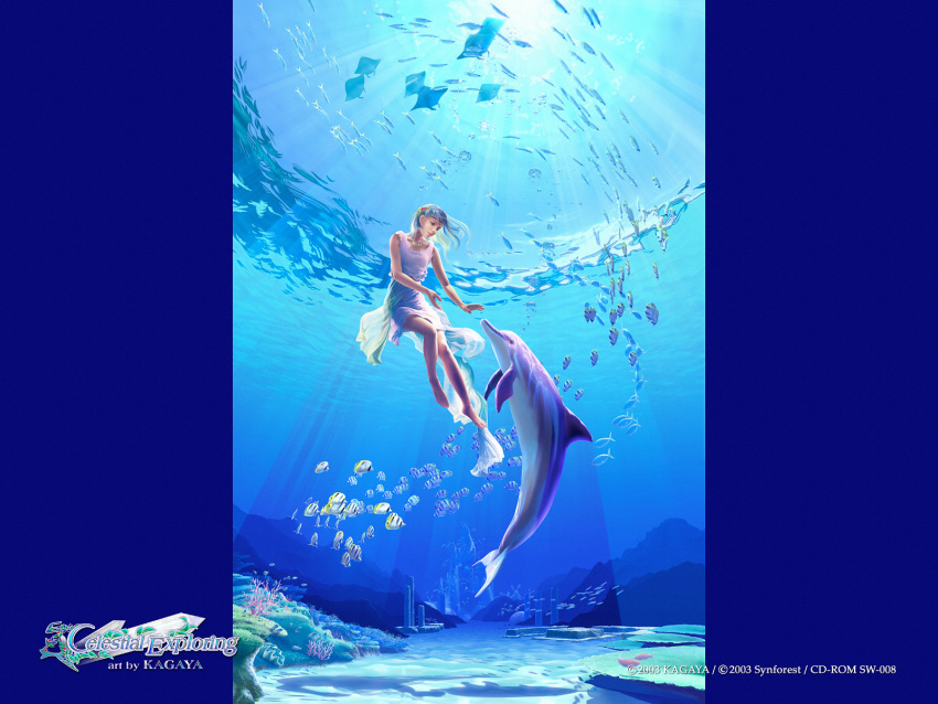 celestial_exploring dolphin fish kagaya underwater
