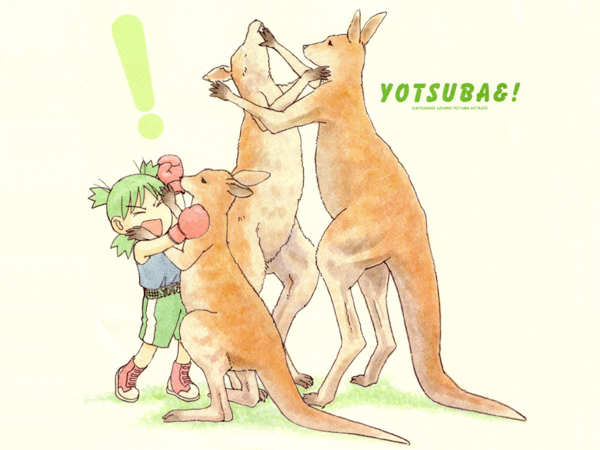 azuma_kiyohiko boxing kangaroo koiwai_yotsuba yotsubato!