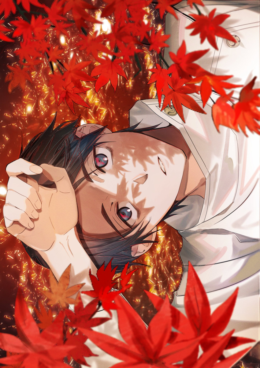 1boy arm_up black_eyes black_hair falling_leaves highres jacket jujutsu_kaisen leaf looking_at_viewer male_focus maple_leaf okkotsu_yuuta parted_lips s_o_i short_hair sideways solo upper_body white_jacket