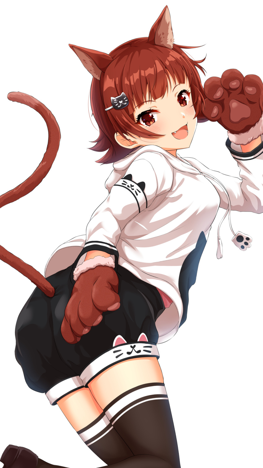 1girl :d animal_ears animal_hands animal_print black_shorts black_thighhighs blush breasts brown_eyes brown_footwear brown_hair cat_ears cat_hair_ornament cat_paws cat_print cat_tail dot_nose fake_animal_ears fake_tail fang from_behind hair_ornament hairclip hand_up highres hood hood_down hoodie idolmaster idolmaster_million_live! idolmaster_million_live!_theater_days long_sleeves looking_at_viewer looking_back medium_breasts nagmilk nonohara_akane open_mouth pink_shirt print_hoodie print_shorts shirt short_hair shorts simple_background smile solo standing standing_on_one_leg tail thigh-highs white_background white_hoodie
