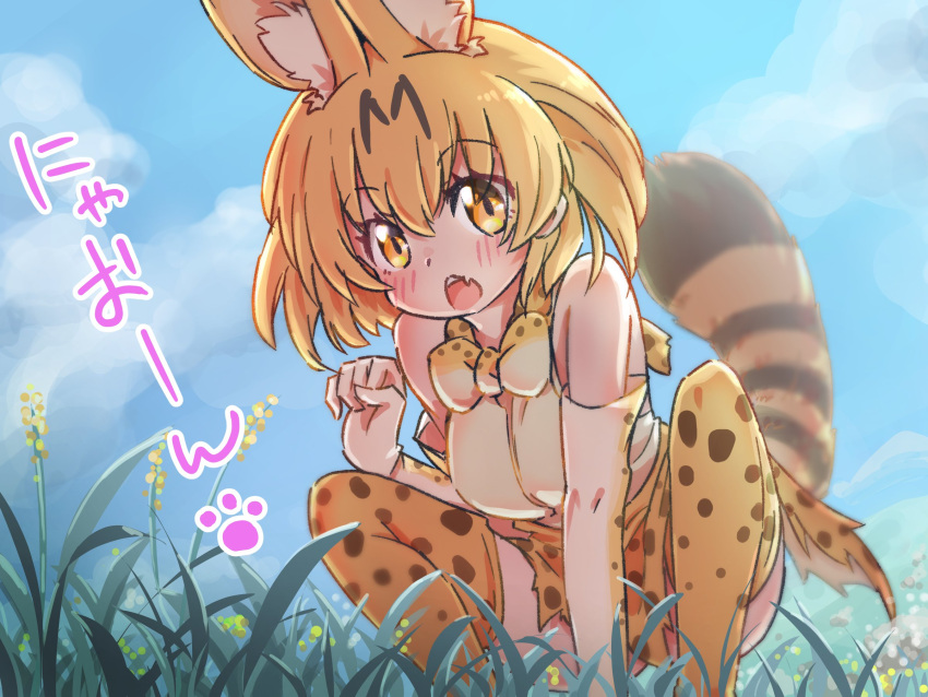 1girl animal_ears bare_shoulders blonde_hair blush bow bowtie cat_ears cat_girl cat_tail elbow_gloves fang gloves high-waist_skirt highres icorasama kemono_friends looking_at_viewer open_mouth print_bow print_bowtie print_gloves print_skirt print_thighhighs serval_(kemono_friends) serval_print shirt short_hair skirt sleeveless squatting tail thigh-highs translation_request white_shirt yellow_eyes zettai_ryouiki