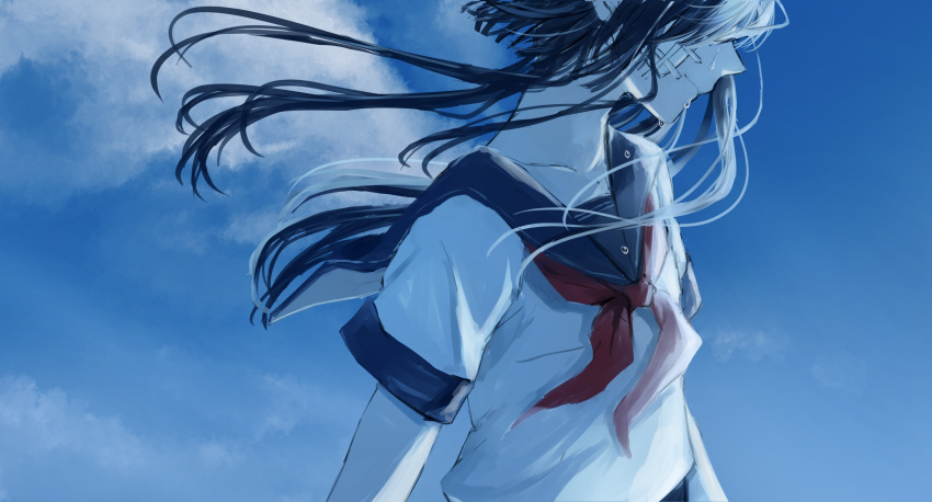 1girl absurdres bandaid bandaid_on_cheek bandaid_on_face black_hair blue_sailor_collar blue_theme closed_mouth clouds collarbone commentary_request crying from_side head_out_of_frame highres long_hair neckerchief original red_neckerchief saikisaika sailor_collar school_uniform serafuku shirt short_sleeves sidelocks sky solo streaming_tears tears white_shirt