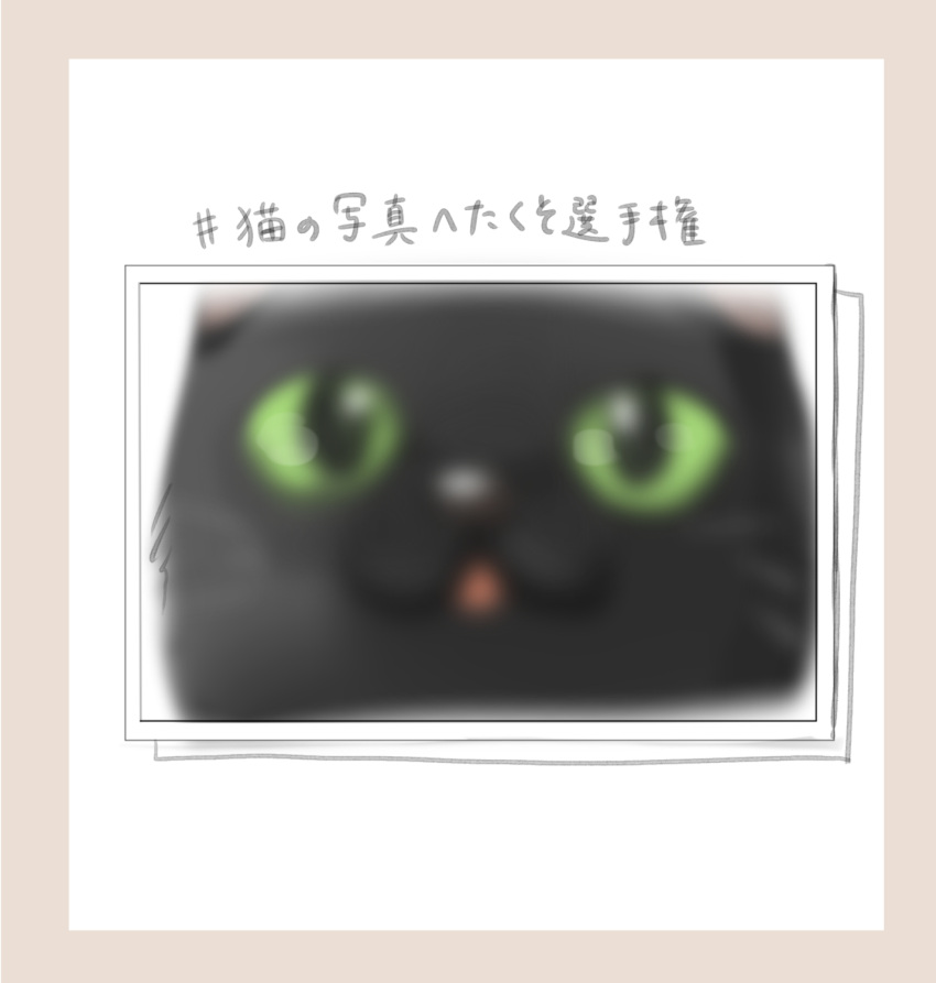 :3 :d black_cat black_eyes blurry border cat chibi colored_sclera commentary_request highres looking_at_viewer no_humans open_mouth original photo_(object) pink_border simple_background smile tasuku_(otomebotan) translation_request triangle_mouth whiskers white_background yellow_sclera